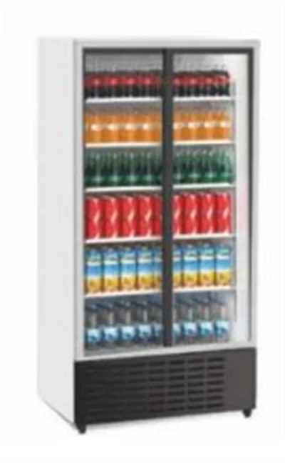 Senox SDS-1010 DC 2 YF Kanopisiz Çarpma Kapılı Siyah